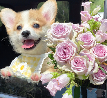 随时都能发的无状态朋友圈文案 高级状态的微信短句 随时都能发的无状态朋友圈文案 高级状态的微信短句