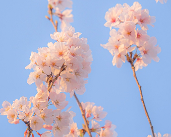 照亮你心坎的文案短句 一看就点赞的说说