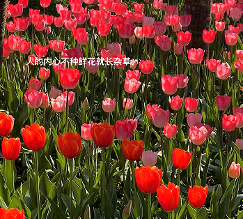 分手最体面的告别说说 最新版的分手告别语录