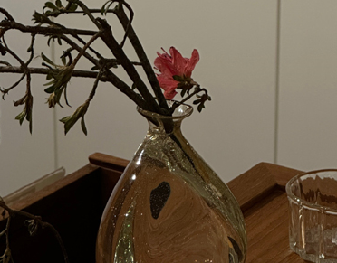 认命了不挣扎的说说 不得不认命的伤感说说 认命了不挣扎的说说 不得不认命的伤感说说