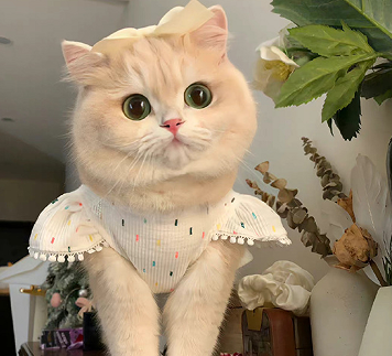 和曾经相爱的人重缝的说说 曾经相爱的人再相遇的句子