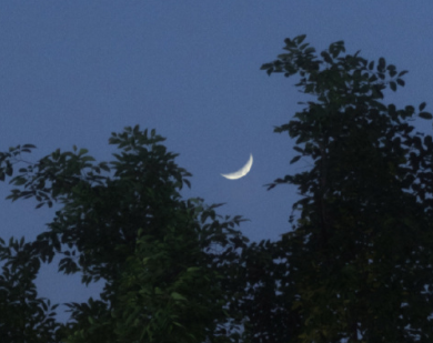 祝妈妈生日快乐的说说感人 妈妈生日的暖心句子