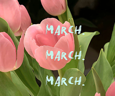 很少人用又好听的昵称 独一无二没有人用过昵称 很少人用又好听的昵称 独一无二没有人用过昵称