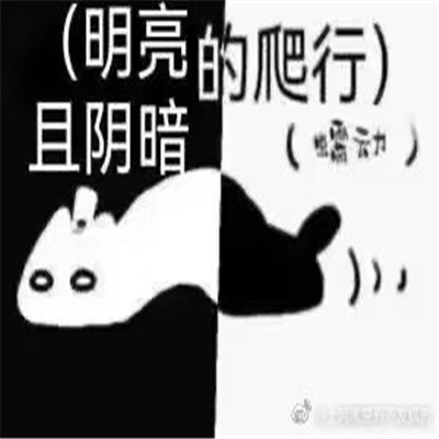 最新克猫猫爬行表情包 每天爬行都不会重样了