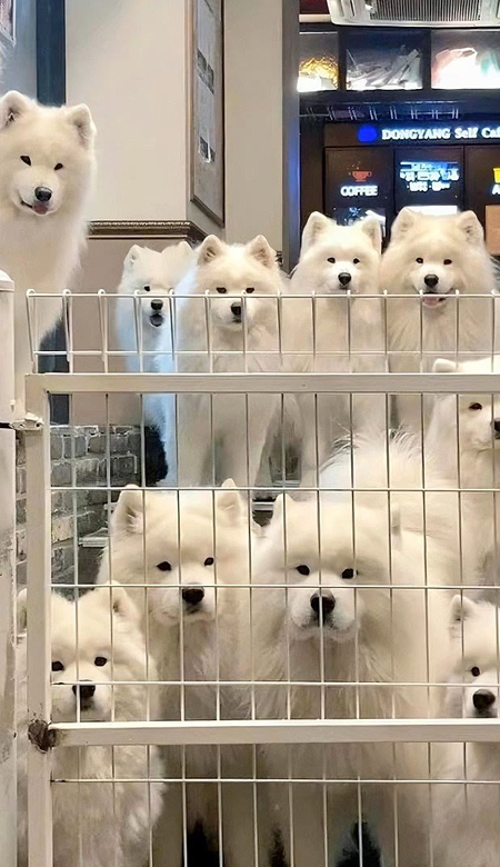 高清又很大气的锁屏壁纸 高质量大气的绝美壁纸