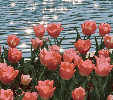 好好享受不上班的日子的说说 不上班悠闲心情的说说