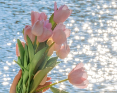 2023二月再见心情说说 二月再见三月你好短句 2023二月再见心情说说 二月再见三月你好短句