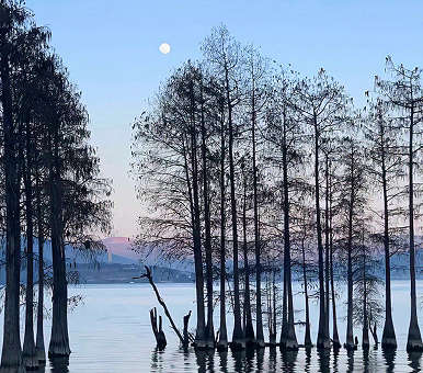 后妈难当的伤感句子 后妈难当的感慨说说