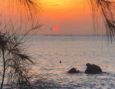 春季带孩子游玩的说说 带娃游玩开心的句子 春季带孩子游玩的说说 带娃游玩开心的句子