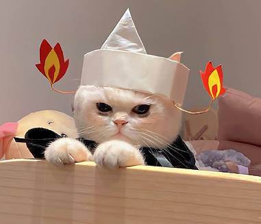 很有吸引力的搞笑网名 逗比必备的幽默昵称 很有吸引力的搞笑网名 逗比必备的幽默昵称