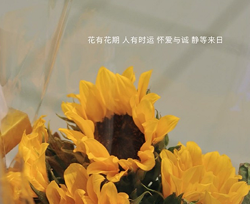 信任一旦崩塌就难以修复说说 信任在一瞬间崩塌说说 信任一旦崩塌就难以修复说说 信任在一瞬间崩塌说说