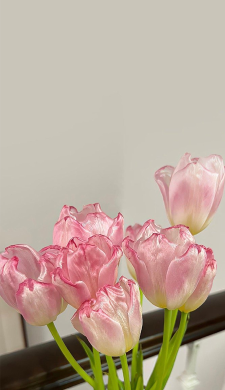 让人眼前一亮的清新全面屏壁纸 2023最新版爆好看的皮肤