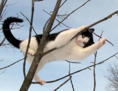 温柔中还带点甜的网名 超诱人的甜甜昵称 温柔中还带点甜的网名 超诱人的甜甜昵称