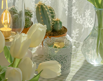 天气升温了发朋友圈说说 2023天气回暖的心情句子