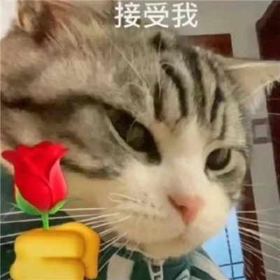 好玩的丫头文学表情包 丫头眼神是不会骗人的