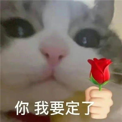 好玩的丫头文学表情包 丫头眼神是不会骗人的