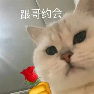 好玩的丫头文学表情包 丫头眼神是不会骗人的