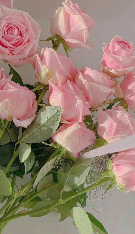 每一张都好看的高清的壁纸 回不去的何止是时间