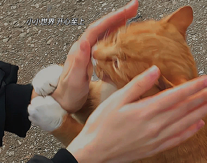 2023又是一年毕业季说说 毕业季的唯美心情短句