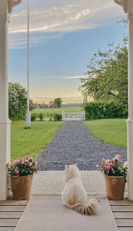 令你超喜欢的壁纸最新版 2023最佳气质壁纸合集