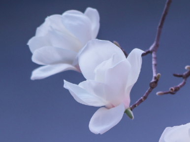 充满着生活气息的网名 生活悠闲简单的网名