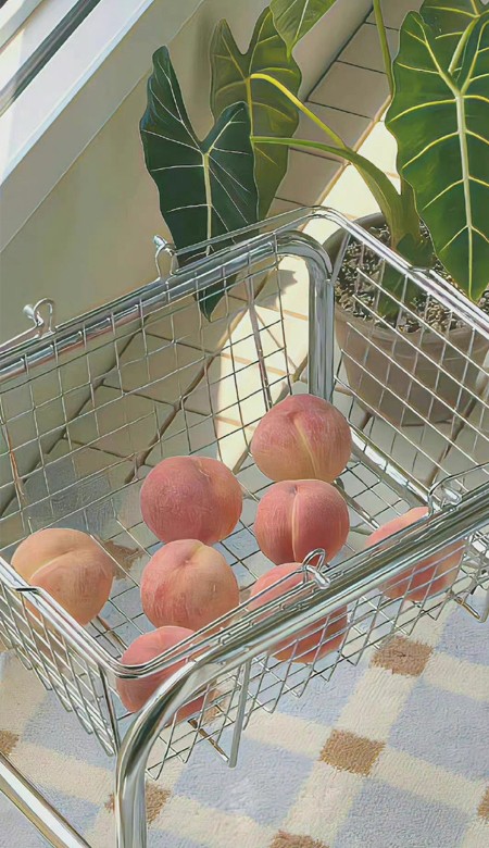 真不戳的气质壁纸最新合集 气质好看到爆的壁纸203