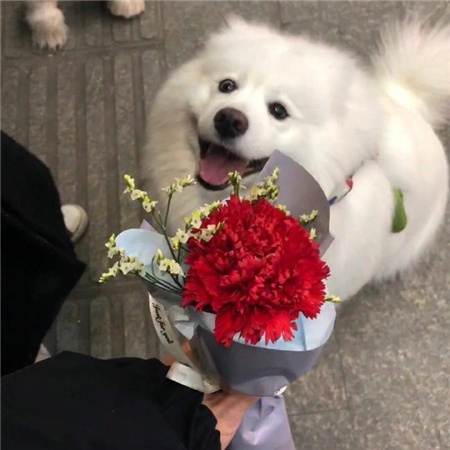 瞬间心动的朋友圈背景图 在暮色里寄存了一万次心动