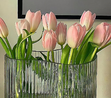 写给陌生人的暖心正能量短句 能够安慰到陌生人的句子 写给陌生人的暖心正能量短句 能够安慰到陌生人的句子