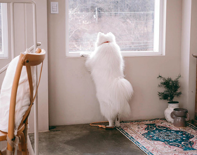 跟对象聊天很累的心情说说 情侣相处的越来越累的说说 跟对象聊天很累的心情说说 情侣相处的越来越累的说说