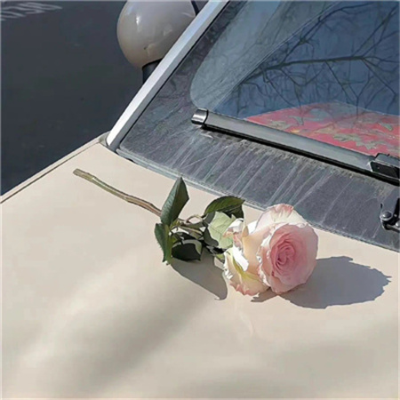 微信背景图2023新款大全 美好的小日子慢慢过吧