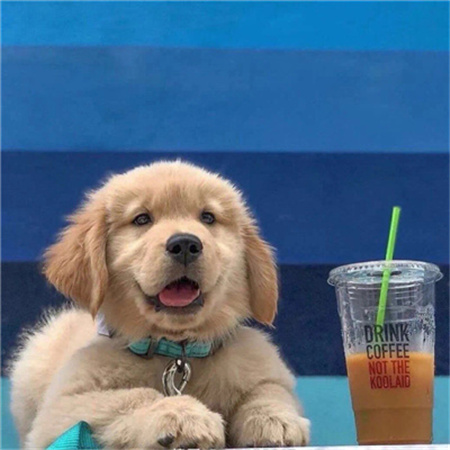 微信背景图2023新款大全 美好的小日子慢慢过吧