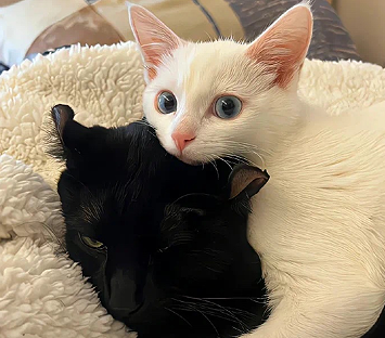 跟好友见面朋友圈文案 2023最新版的见面说说 跟好友见面朋友圈文案 2023最新版的见面说说