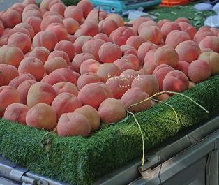 日常吃水果文案短句 吃水果的有趣文案 日常吃水果文案短句 吃水果的有趣文案