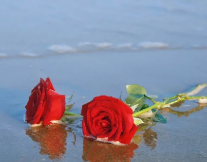 寓意好的签名简短最新版 个性签名简单有内涵