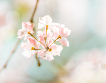 别人热闹自己孤独的说说 人潮拥挤而我却孤独的句子