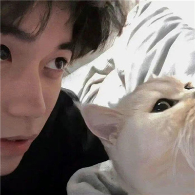 超级酷的全新魅力男头合集 很优质的魅力男头