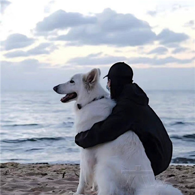 超级酷的全新魅力男头合集 很优质的魅力男头