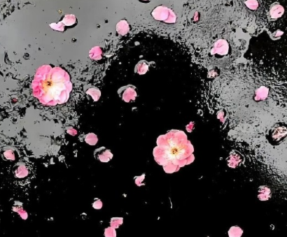 一身反骨的搞笑说说 搞笑必备的天生反骨语录