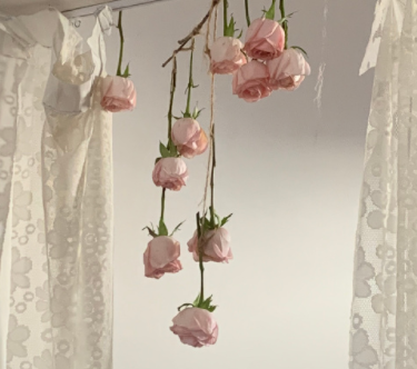 八字温柔系的治愈签名 晚晚皆安夜夜皆空 八字温柔系的治愈签名 晚晚皆安夜夜皆空