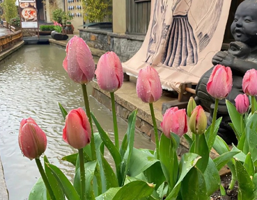 撩爆男朋友的小情话甜蜜肉麻 撩男朋友撩到脸红的情话 撩爆男朋友的小情话甜蜜肉麻 撩男朋友撩到脸红的情话