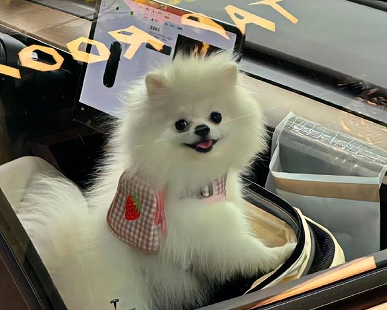 守不住婚姻的说说 婚姻生活很失败的句子 守不住婚姻的说说 婚姻生活很失败的句子