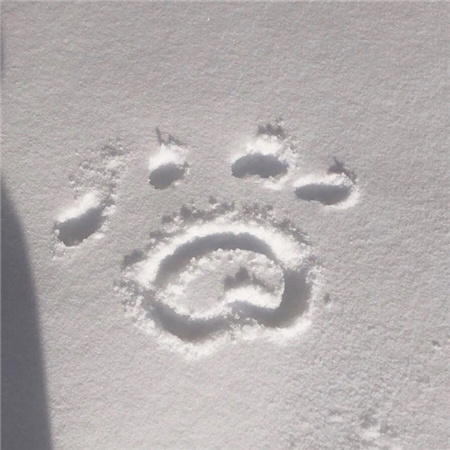 很火爆的背景图气质满满 喜欢只是开始爱你永远不会结束