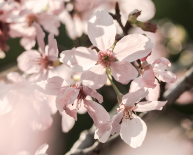我来人间一趟伤感文案 我来人间一趟抖音文案 我来人间一趟伤感文案 我来人间一趟抖音文案