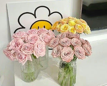 契合你品味的宝藏温柔文案 高质量的惊艳语录最新 契合你品味的宝藏温柔文案 高质量的惊艳语录最新