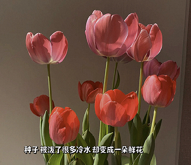 岁月静好的气质温柔昵称 温柔又优雅的网名 岁月静好的气质温柔昵称 温柔又优雅的网名