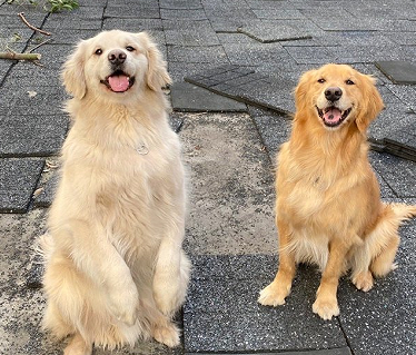 让你感触很深的网名 令人印象深刻的昵称 让你感触很深的网名 令人印象深刻的昵称