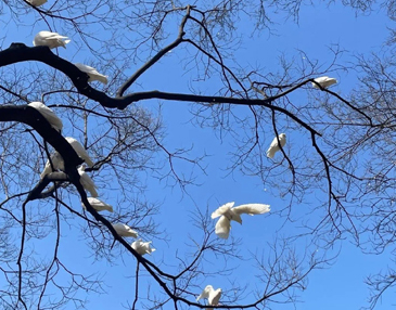 超大格局的八字短句 一眼就惊艳的文案八字 超大格局的八字短句 一眼就惊艳的文案八字