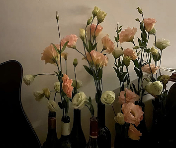 干净治愈的周末文案 周末愉快文案ins风 干净治愈的周末文案 周末愉快文案ins风