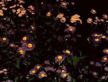 用酒精来麻痹自己的说说 用酒精麻醉自己的心情语录