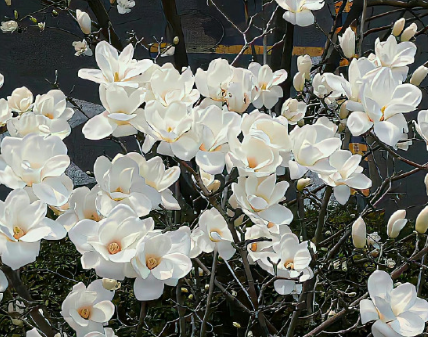 小众风格的无情绪签名 超高清的签名最新